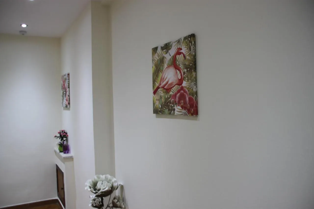 Nocleg ze śniadaniem B&B Alexander-Room And Breakfast Palermo